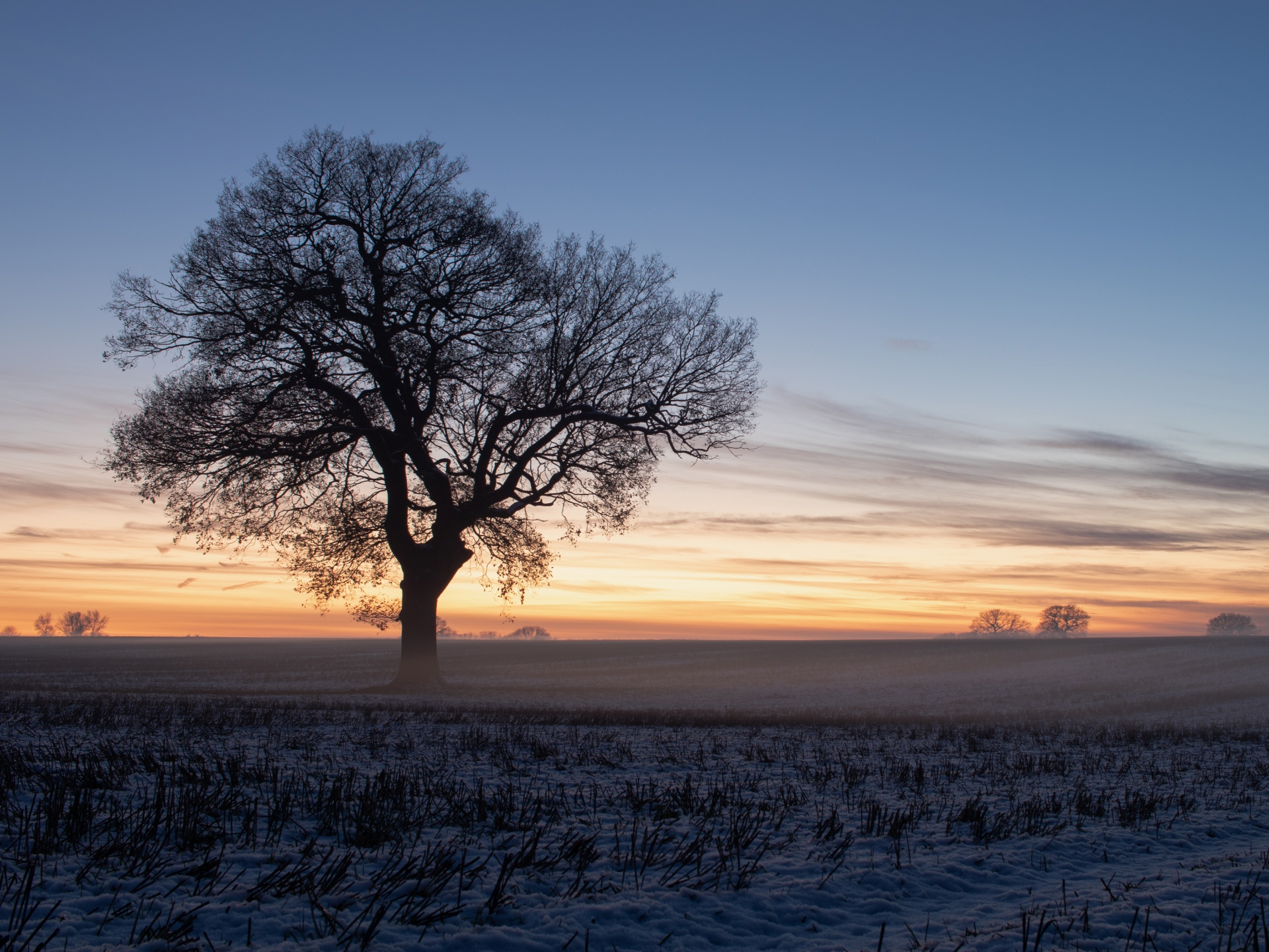 &copy; Adam Brooks Photography